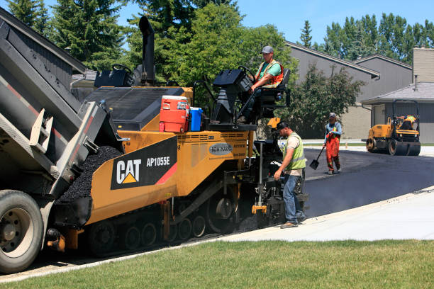 Best Driveway Pavers Near Me  in Roscoe, IL