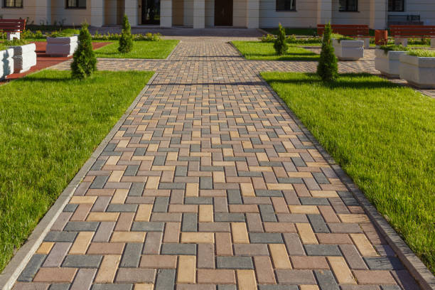 Best Local Driveway Pavers  in Roscoe, IL
